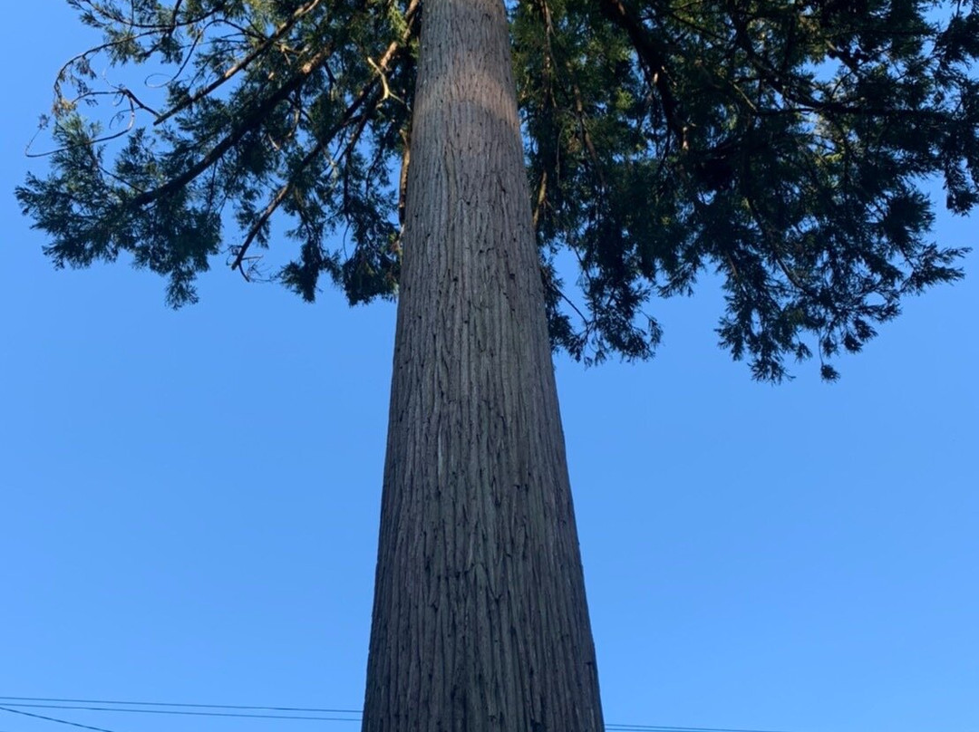 Kegon-ji Temple Mangando-揖斐川町必去景点