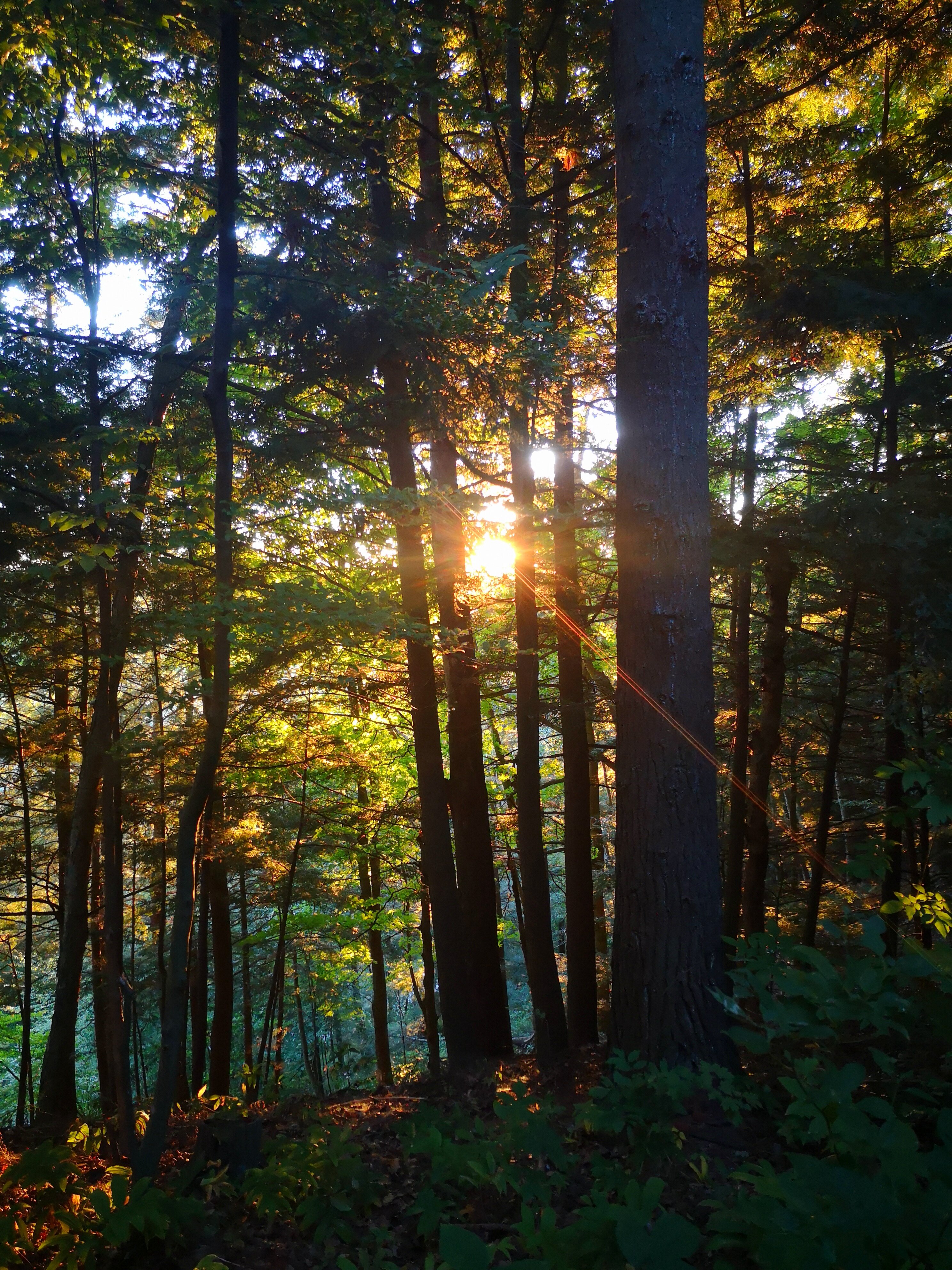 Otter River Farms-portrait