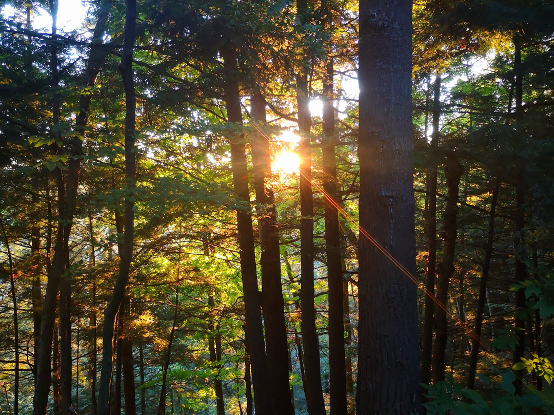 Otter River Farms主图