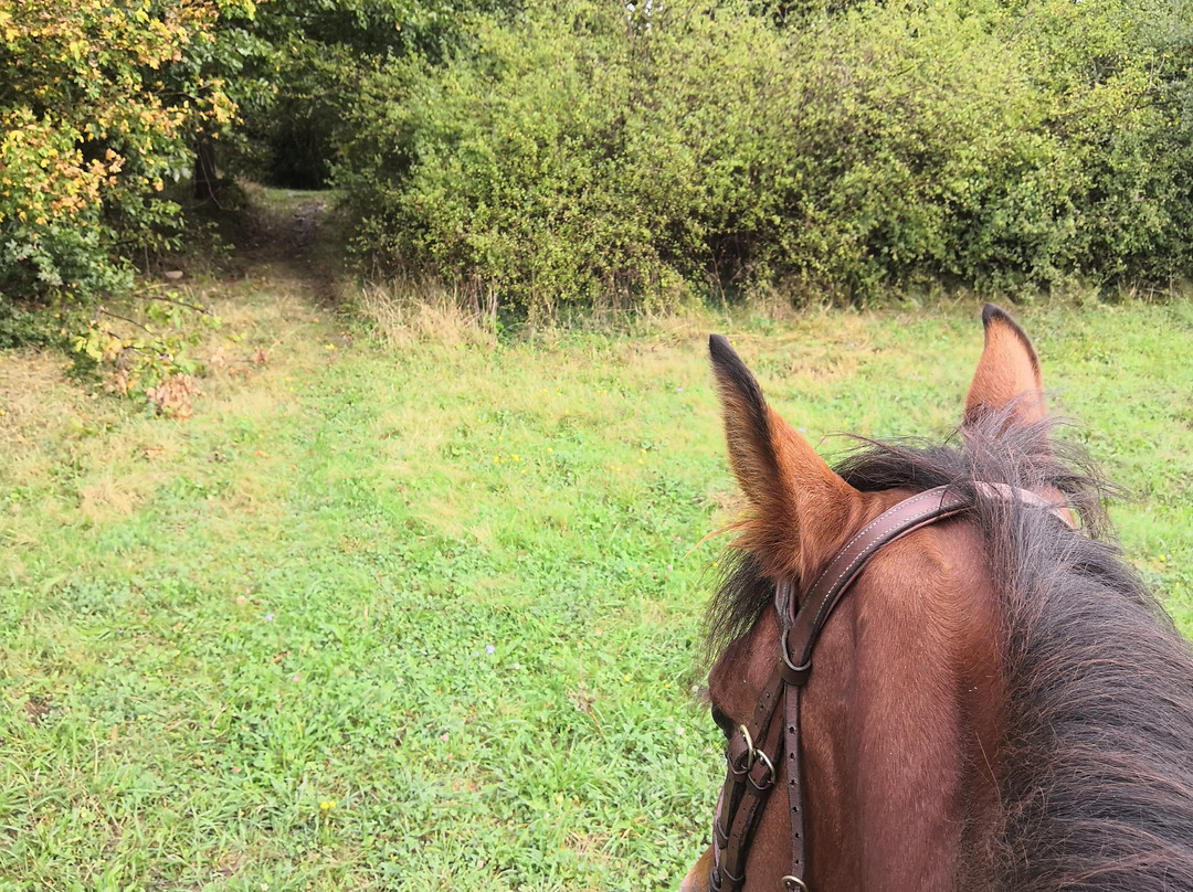 Sa Posada ASD-Bosio必去景点