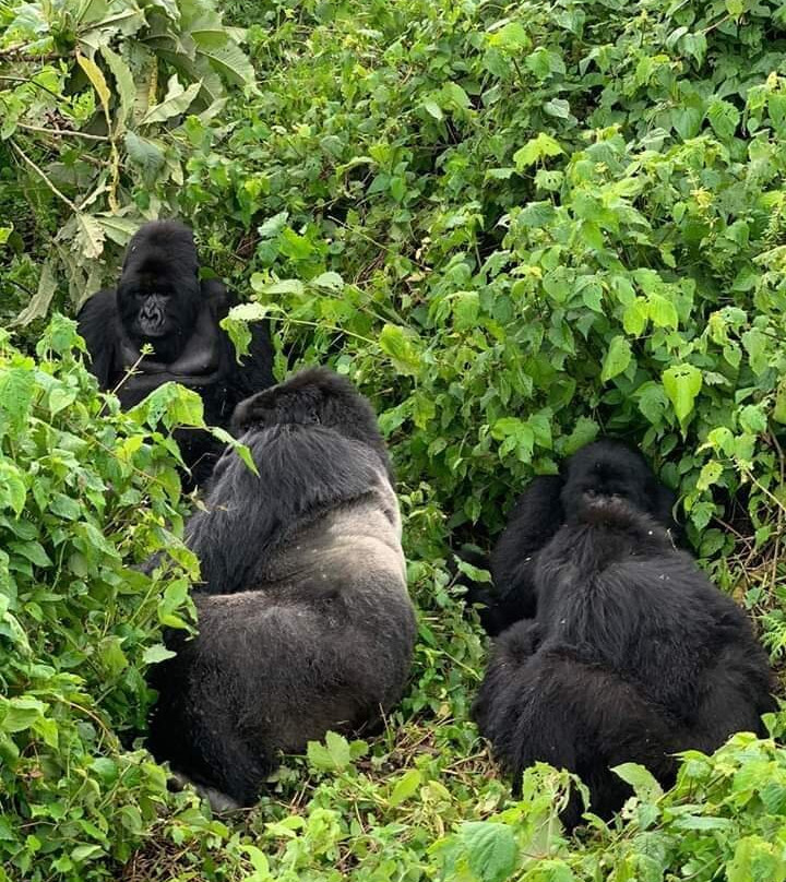 Alliance for the Arts-迈尔斯堡必去景点