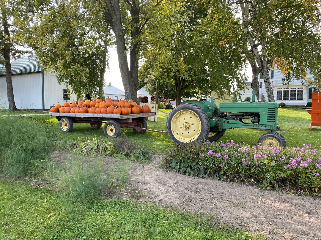 Hermanson Pumpkin Patch-Edgerton必去景点