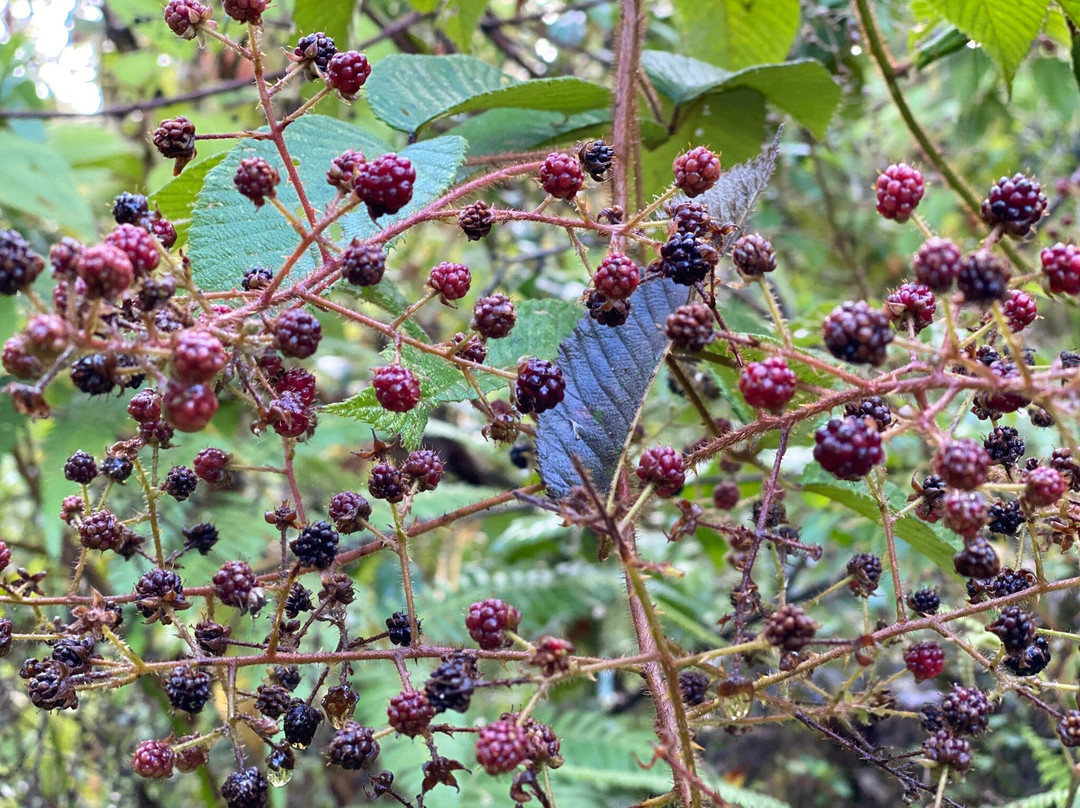 Penelope Birding-Circasia必去景点