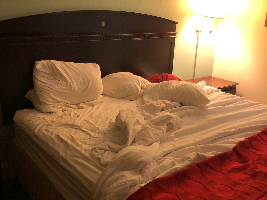 Ramada by Wyndham Pelham主图