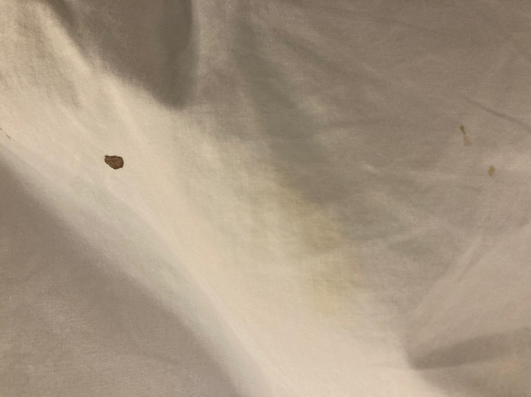 Western Star Inn & Suites Melita主图