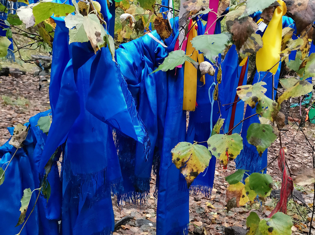 National Park Alkhanai-赤塔必去景点