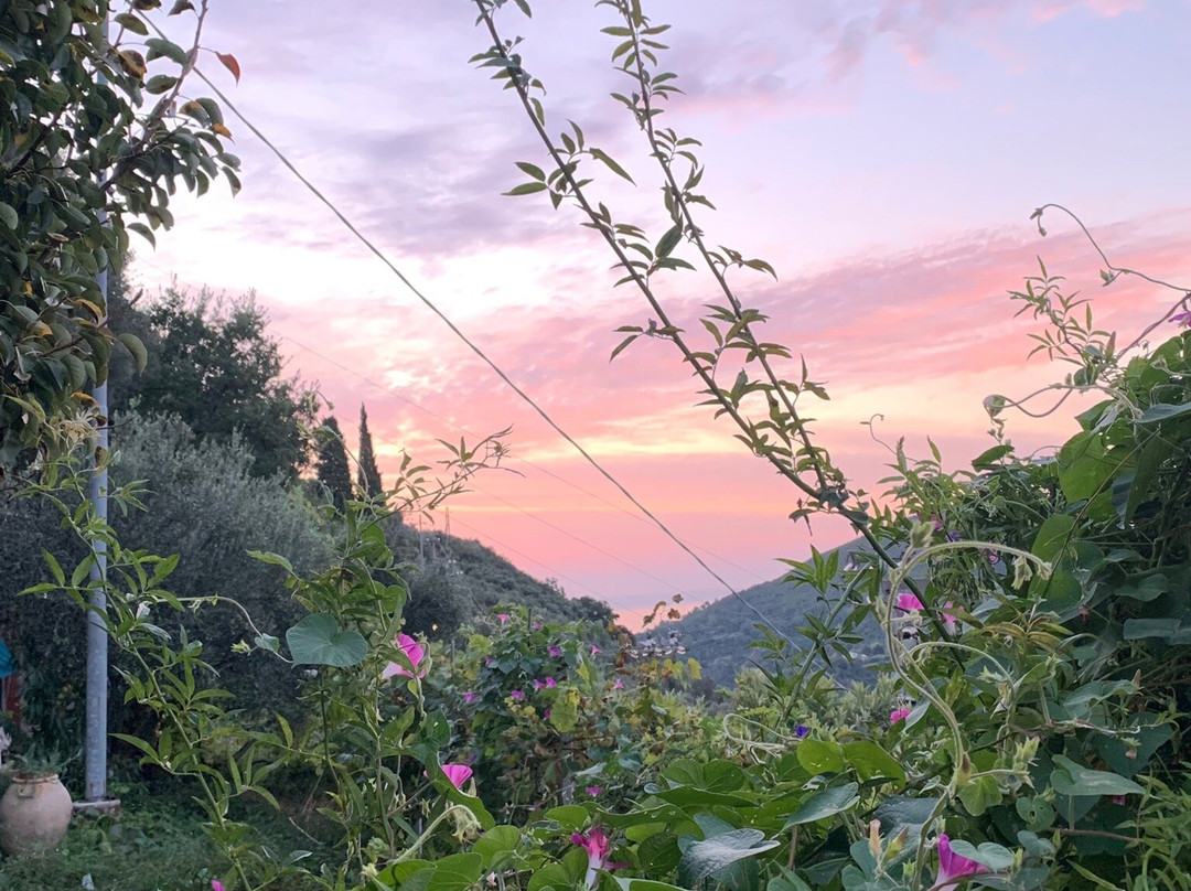 Agriturismo Costamagna主图