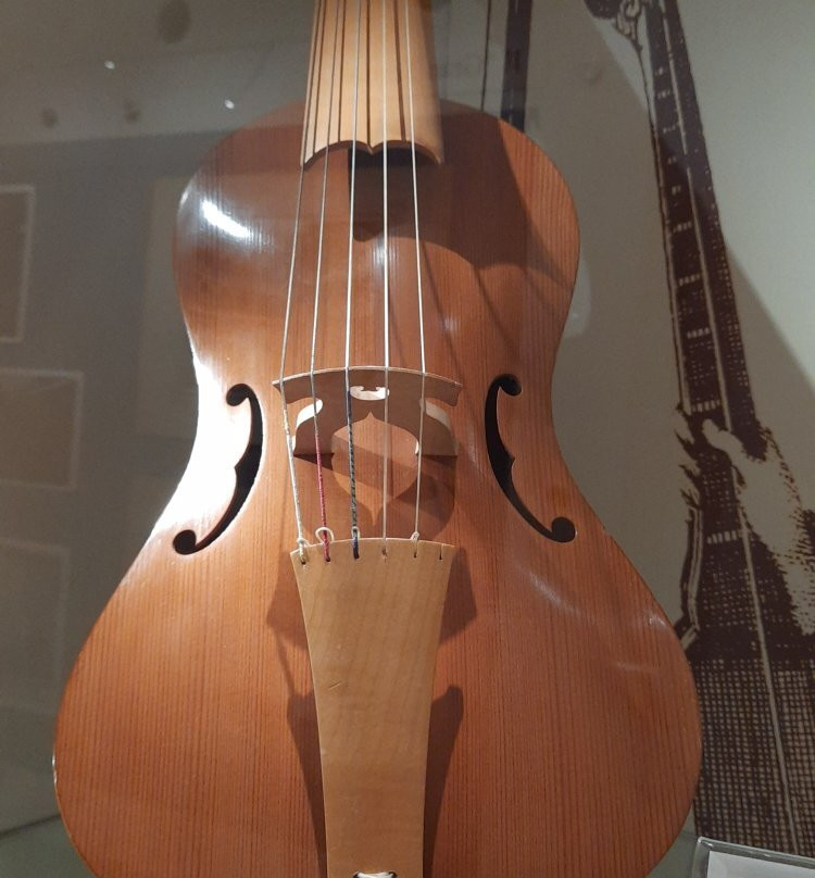 Casa della Musica景点图片