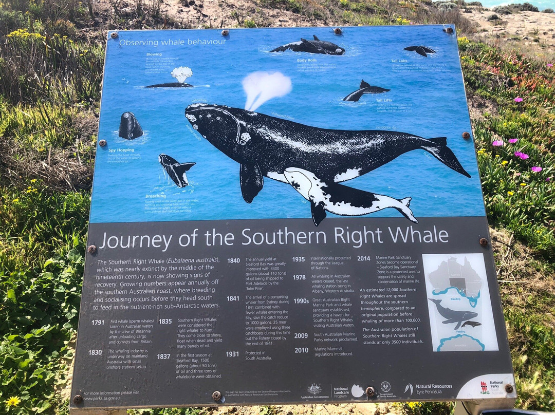 Sleaford Bay-Port Lincoln必去景点