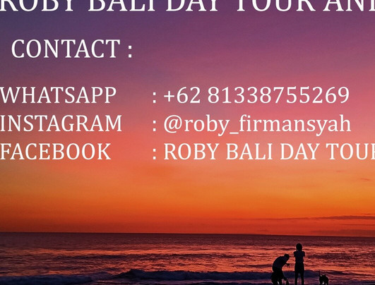 Roby Bali Day Tour and Transport