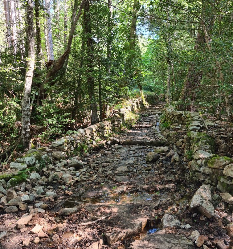 Foret d'Aïtone景点图片