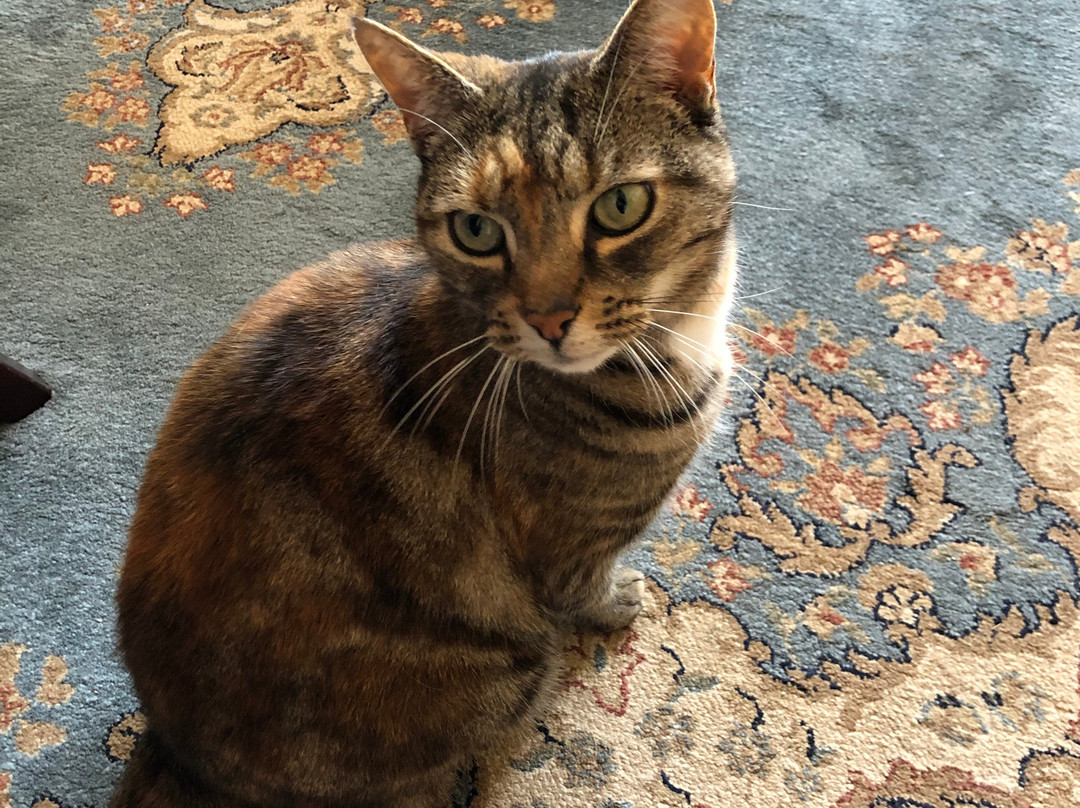 Polbrean House主图