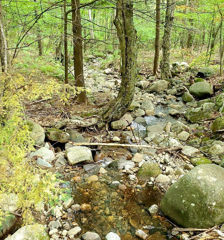 Spruce Mountain Trail景点图片