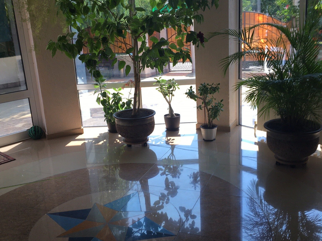 Lastochkino Gnezdo主图