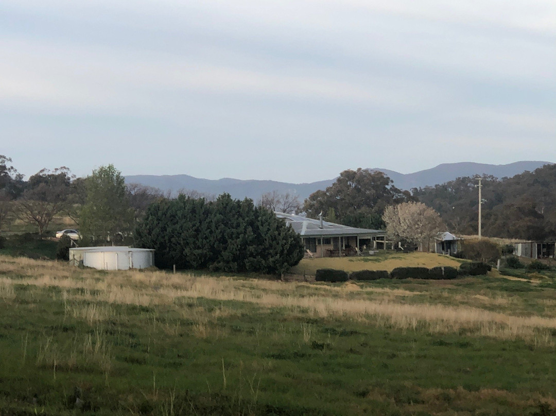 Rosby Guesthouse主图