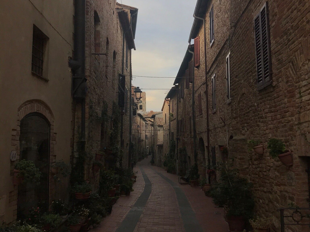 Cielsereno Fattoria主图