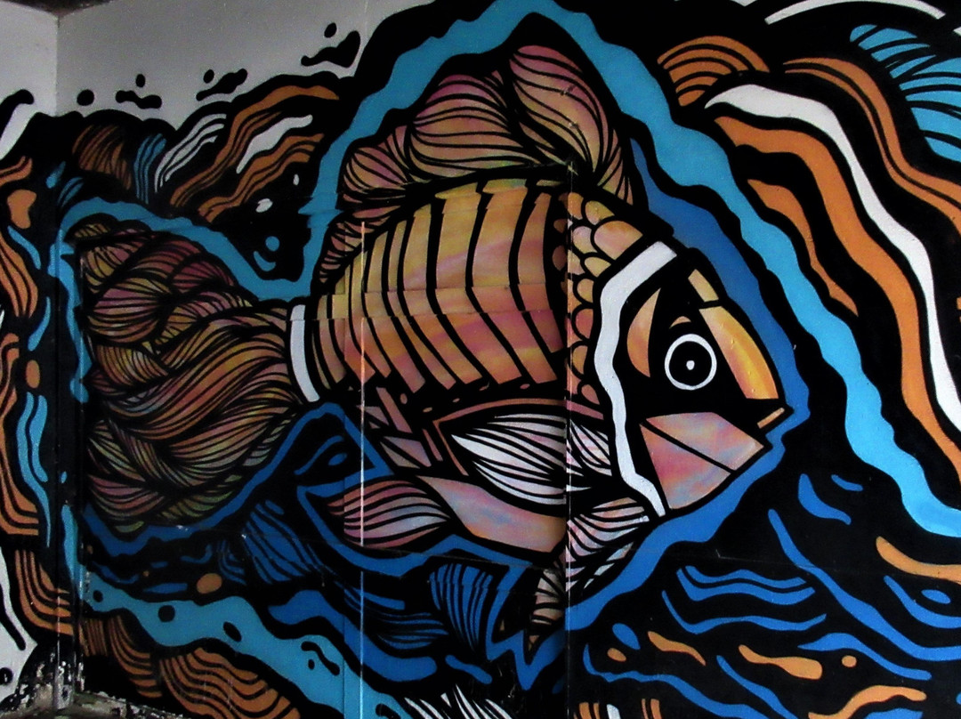 Fresque "poisson Coloré"景点图片