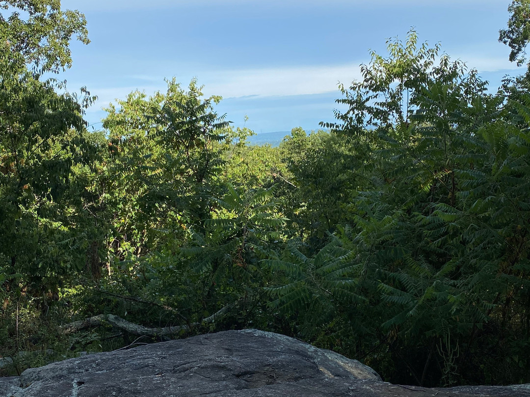 Tourne County Park景点图片