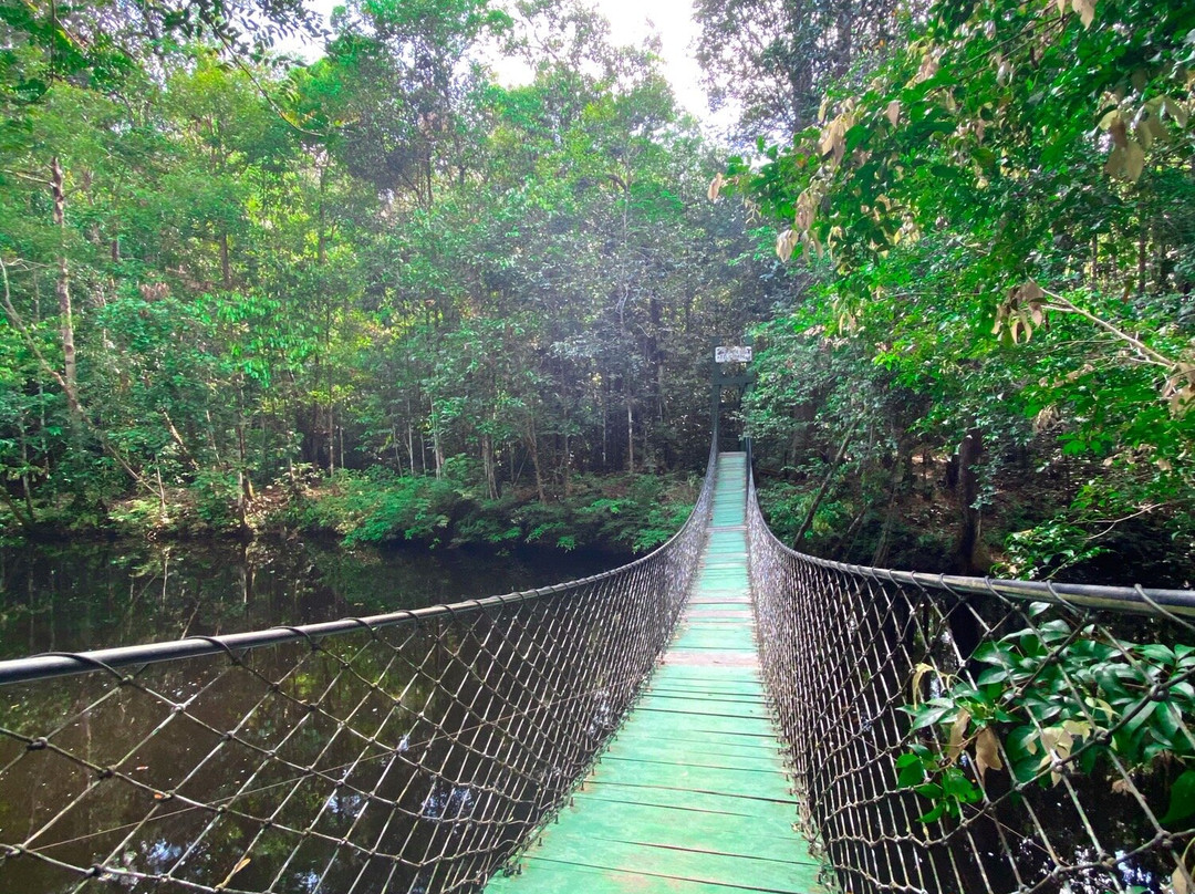 Cachoeira da Onça-Presidente Figueiredo必去景点