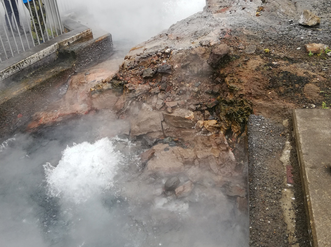Deildartunguhver Thermal Spring景点图片
