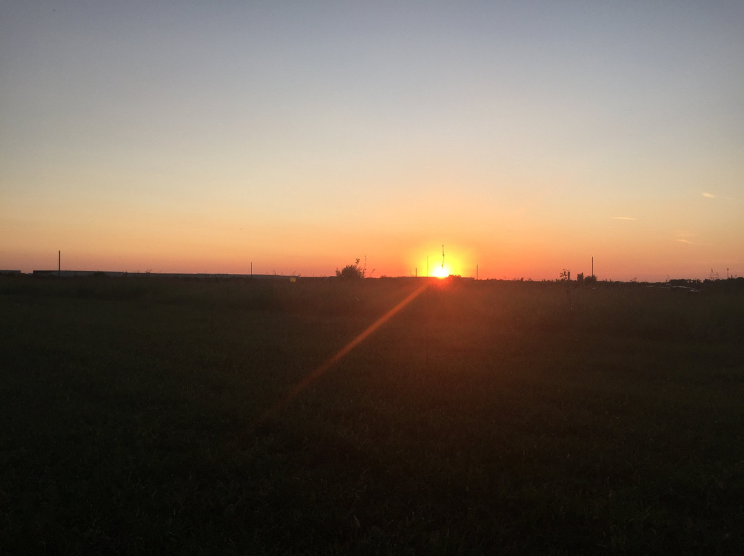 Giarmata旅游攻略图片