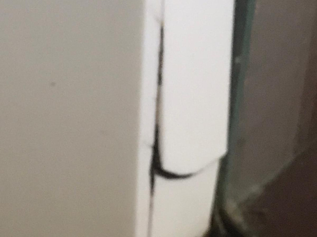 杜阿莫酒店主图