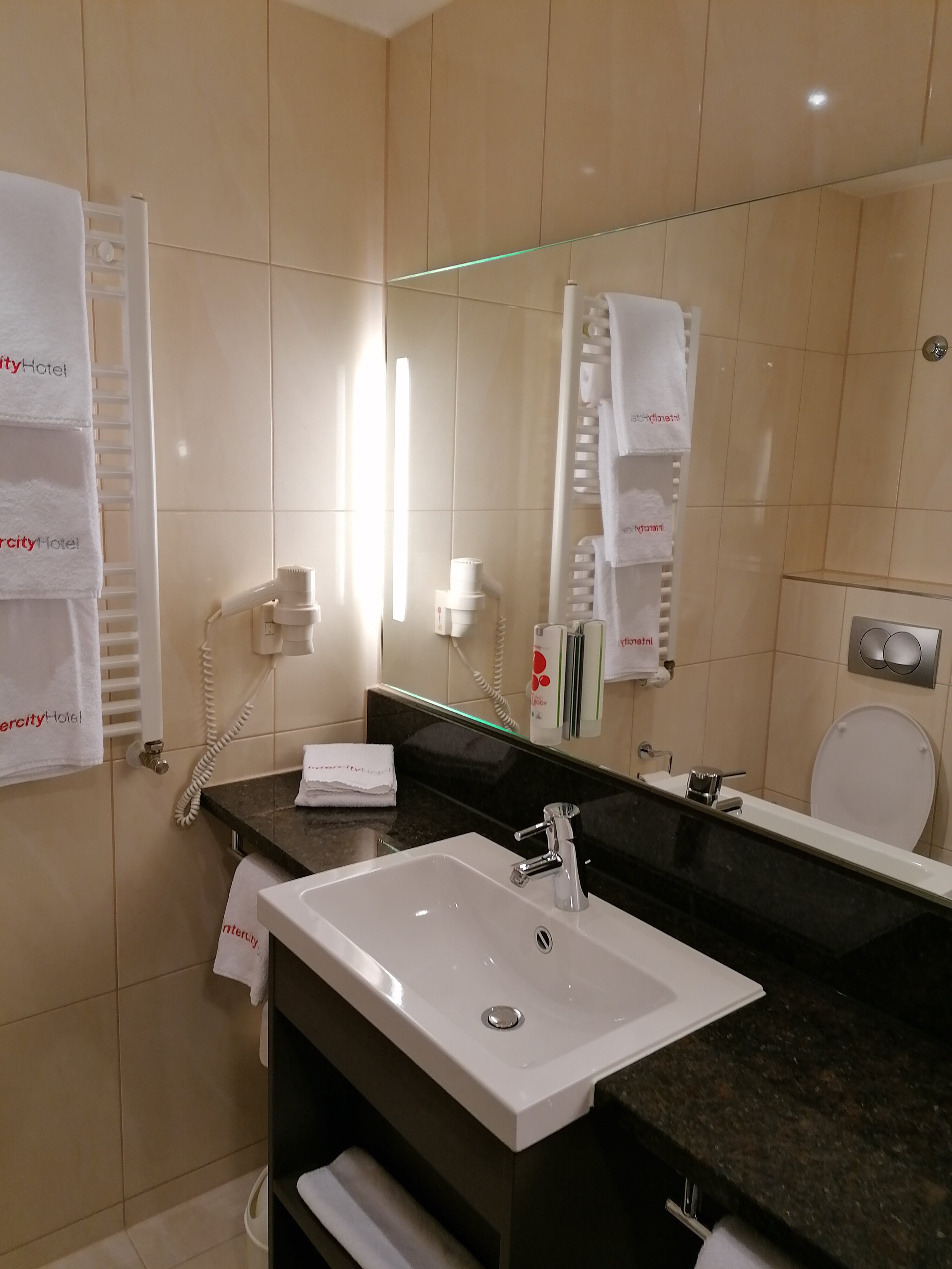 Intercityhotel Berlin Airport Area North-浴室