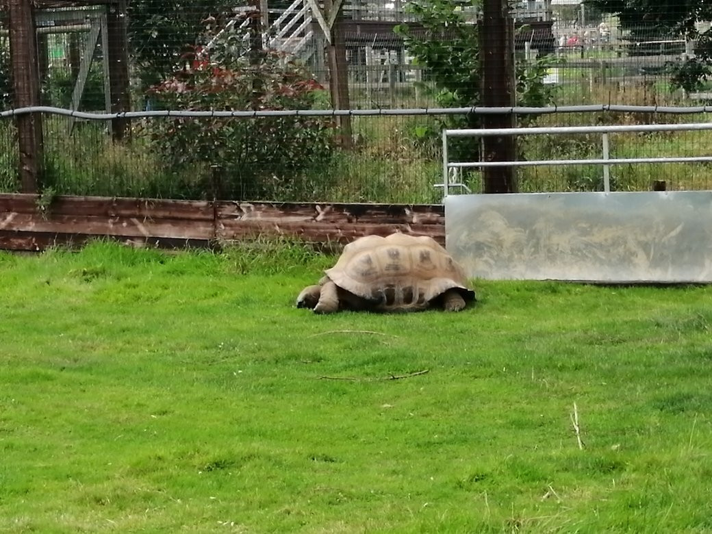 Noah's Ark Zoo Farm景点图片