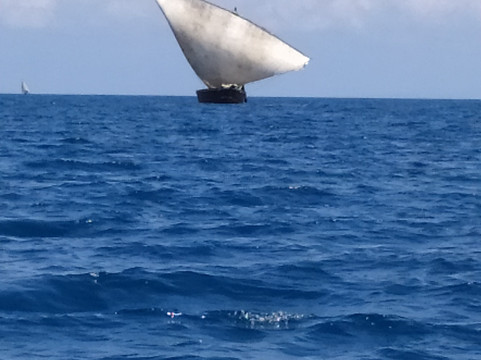 Kassidi Zanzibar Tours and Safaris-石头城必去景点