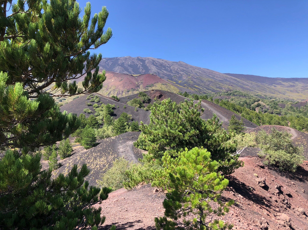 Etna Trip景点图片