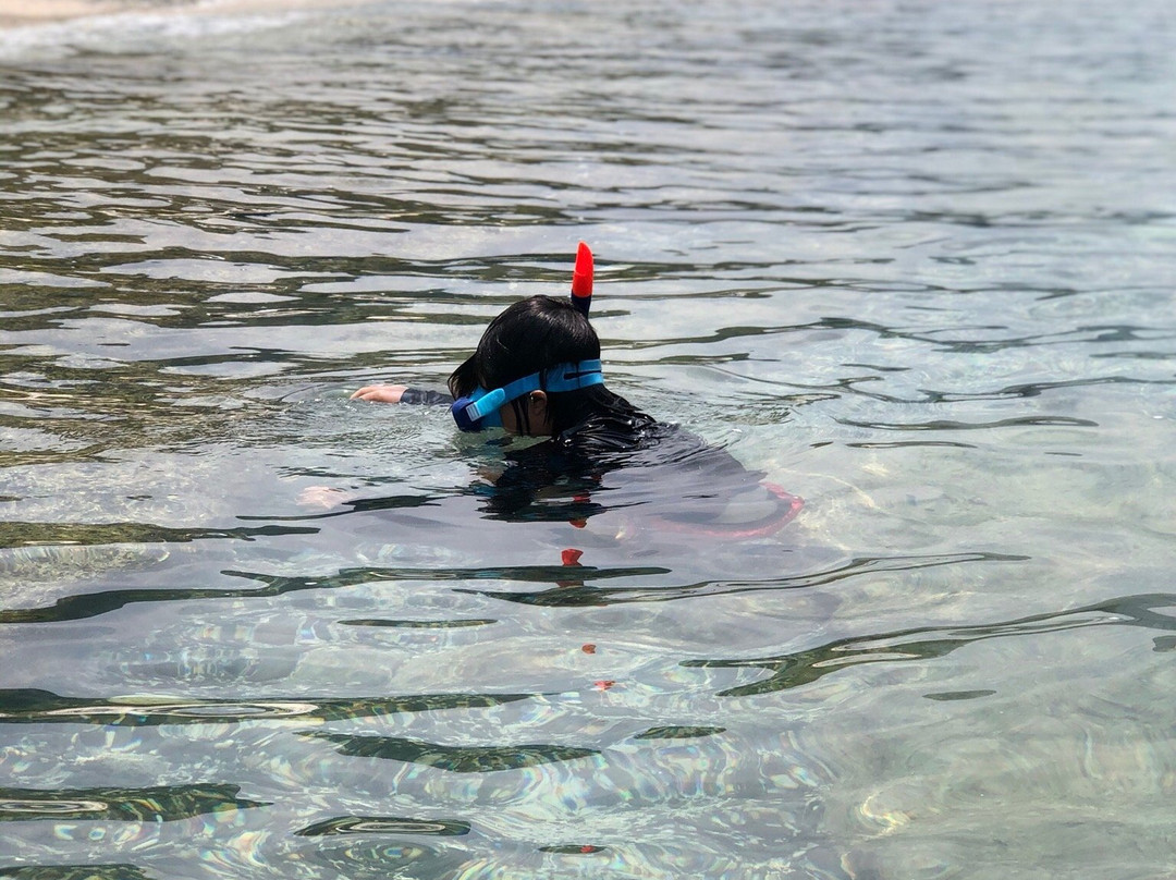 Ohama Seaside Park-奄美市必去景点