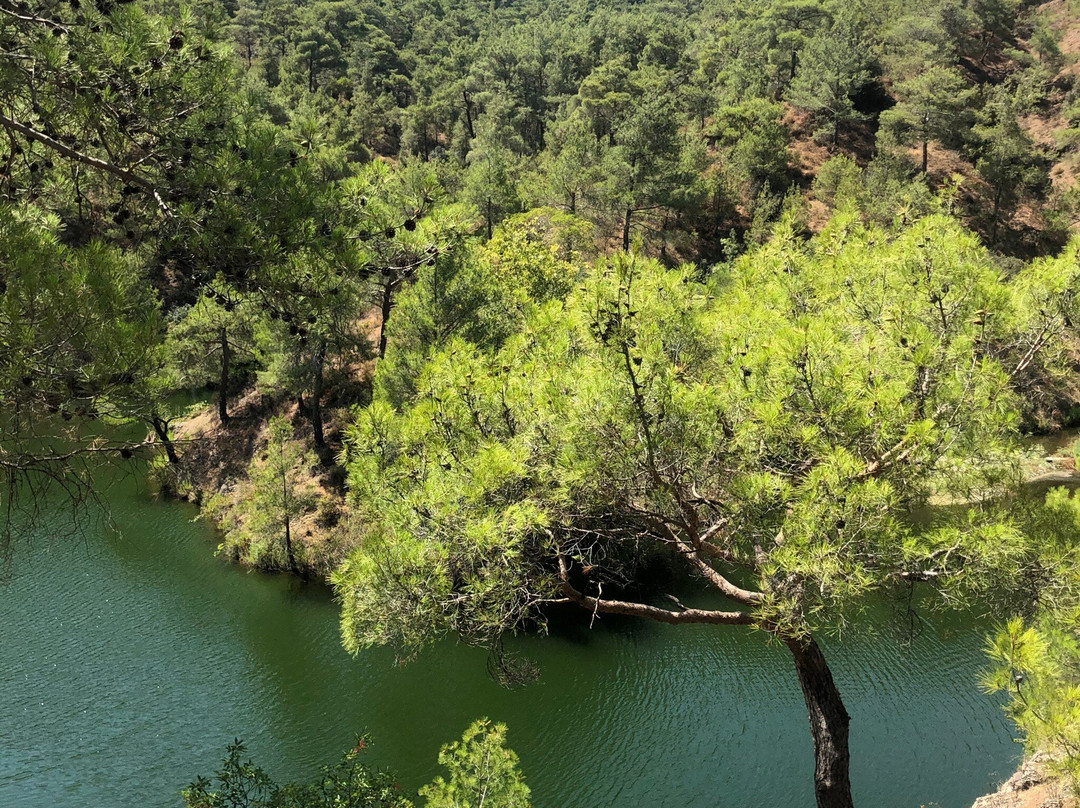 Milia Medieval Bridge-帕拉翠斯必去景点