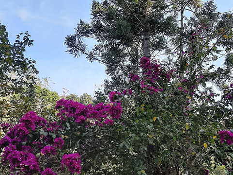 希图达斯阿斯特拉配雅思旅馆主图