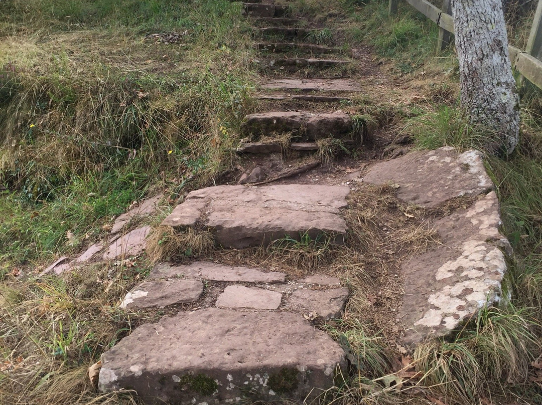 Mirador de Santa Catalina-Penarrubia必去景点