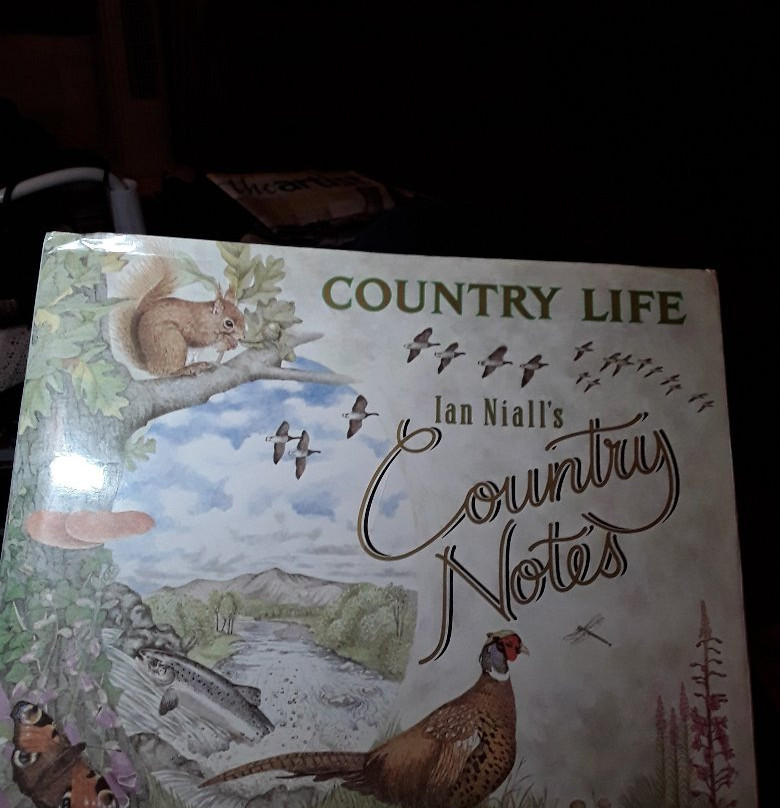 Yorkshire Quality Paperbacks-皮克灵必去景点