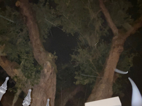 Afterlife Tours-圣奥古斯丁必去景点