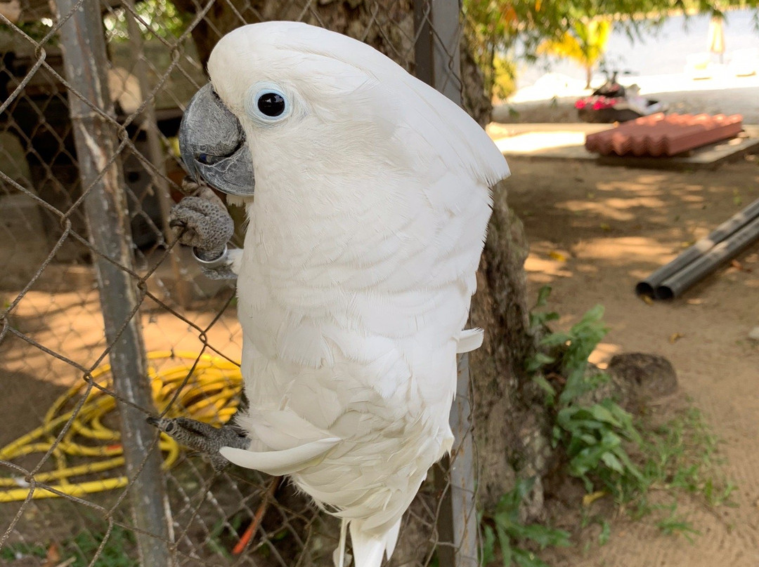 Coconut Grove Lodge主图