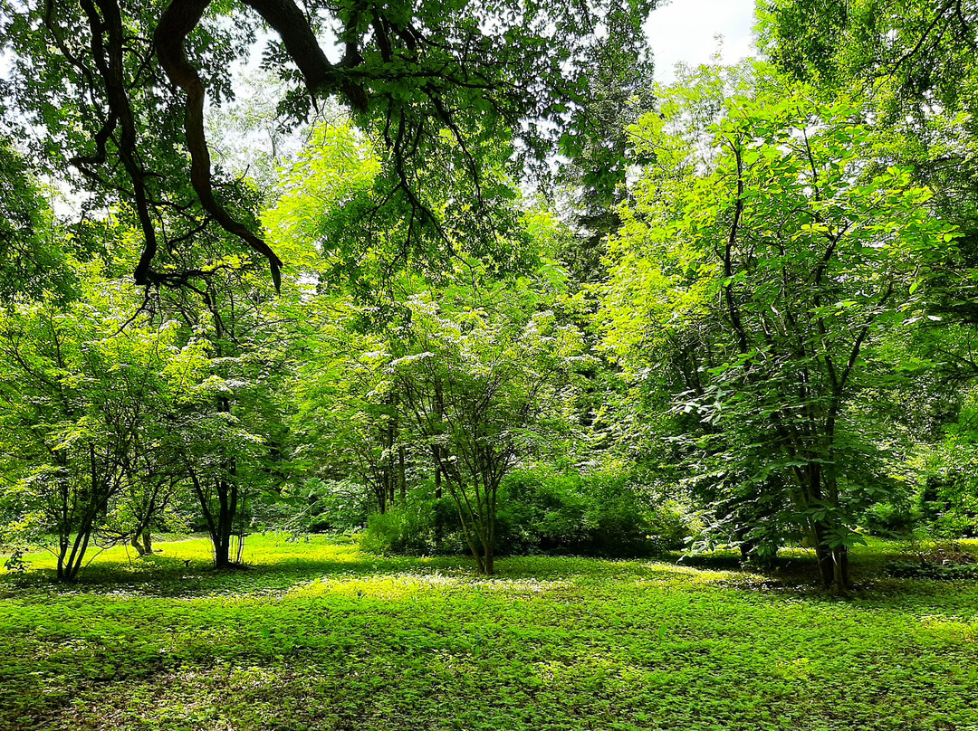 Arboretumul Simeria景点图片