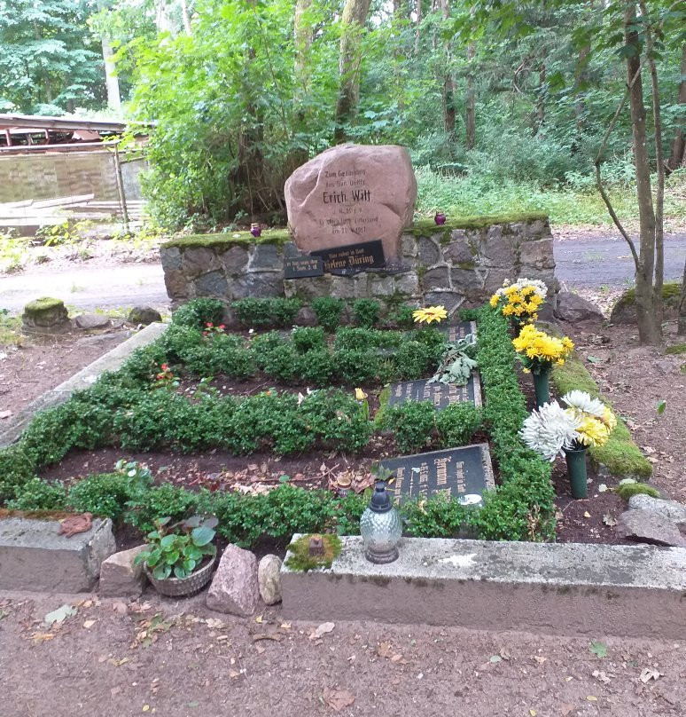 Cmentarz w Krępie景点图片