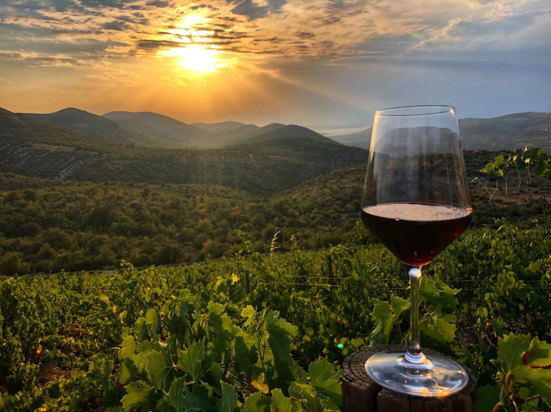 Matosin Winery-普莫斯特必去景点