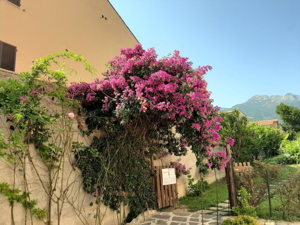 Hotel Marinella主图