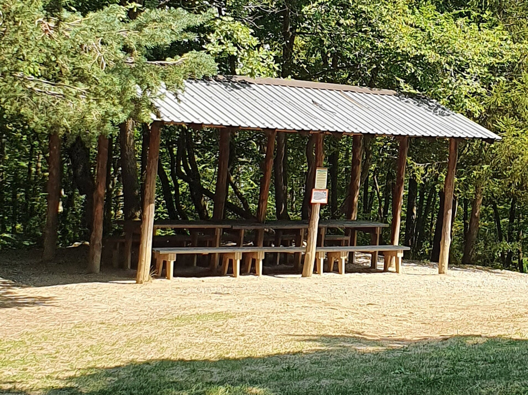 Parco Provinciale Monte Fuso景点图片