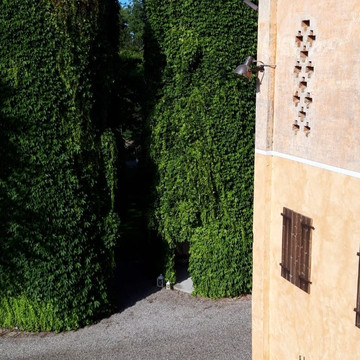 Cesarolo旅游攻略图片