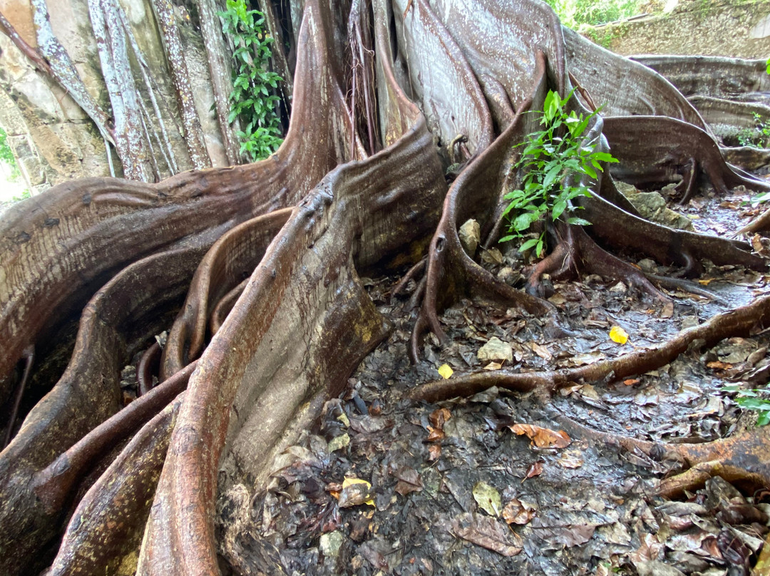 Yaka Gwada-Petit-Canal必去景点