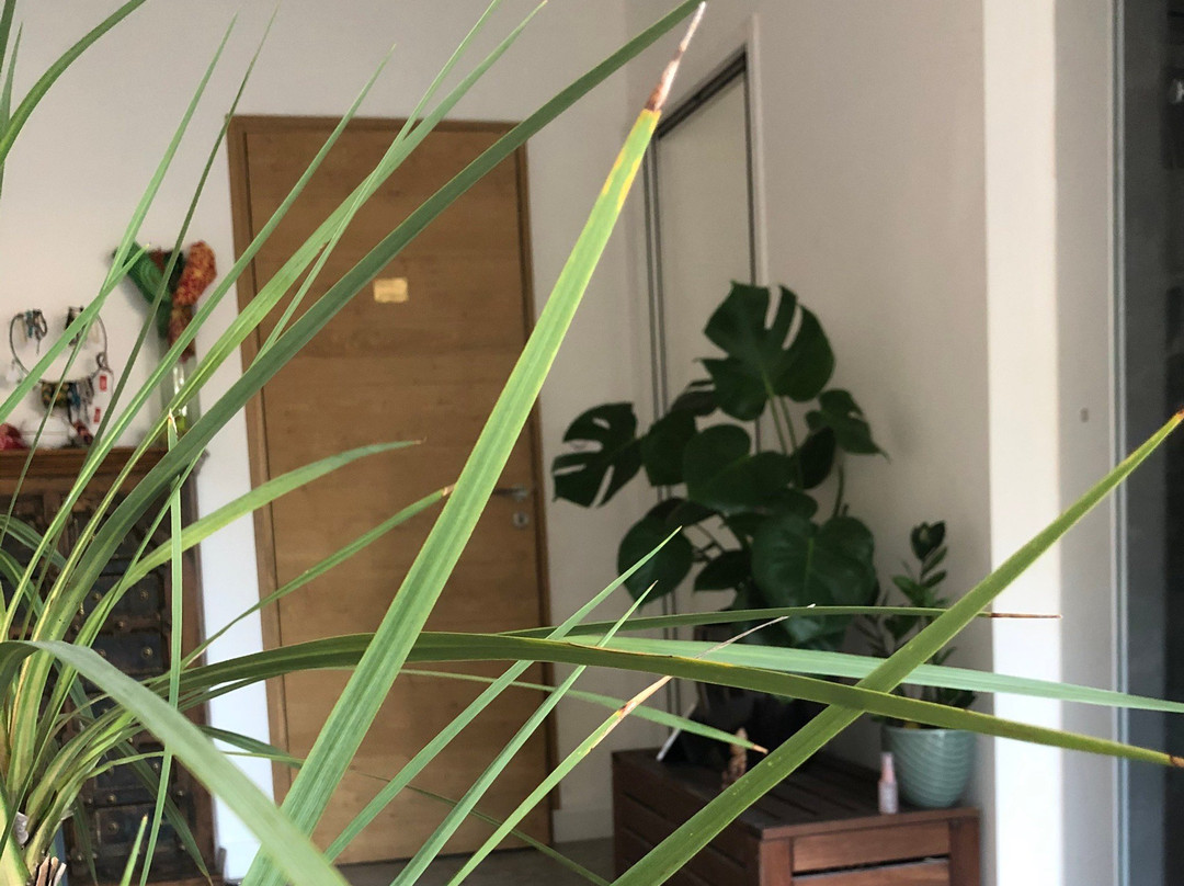 La Belle Endormie主图