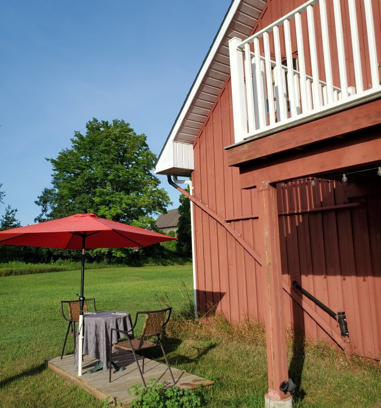 Black Licorice Tree B&B主图