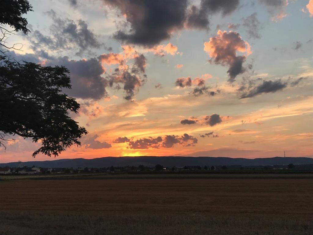 Weingut Hans Igler