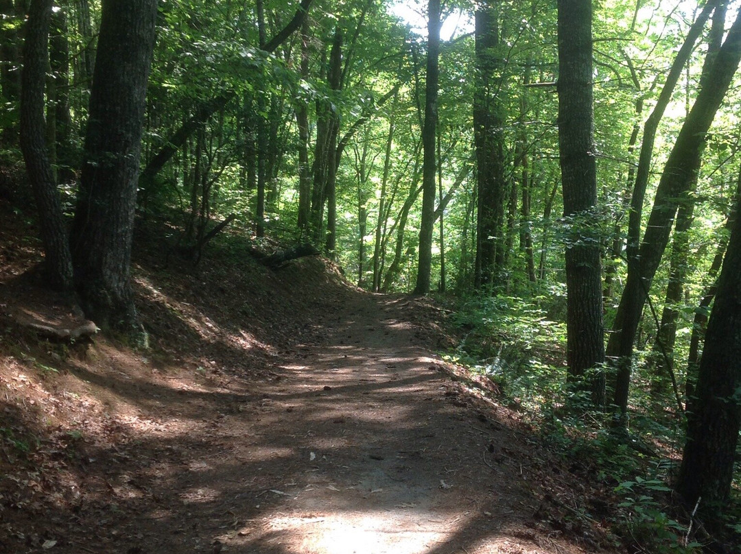 Juney Whank Falls-大雾山国家公园必去景点