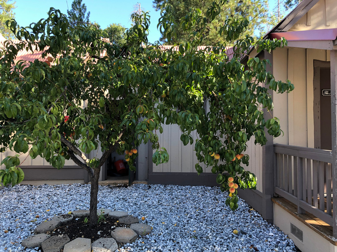约塞米蒂西门旅馆主图
