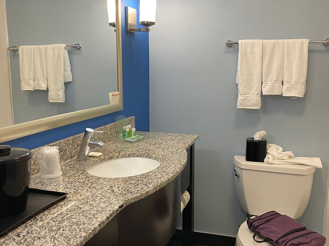 Holiday Inn Cleveland Northeast - Mentor By IHG主图